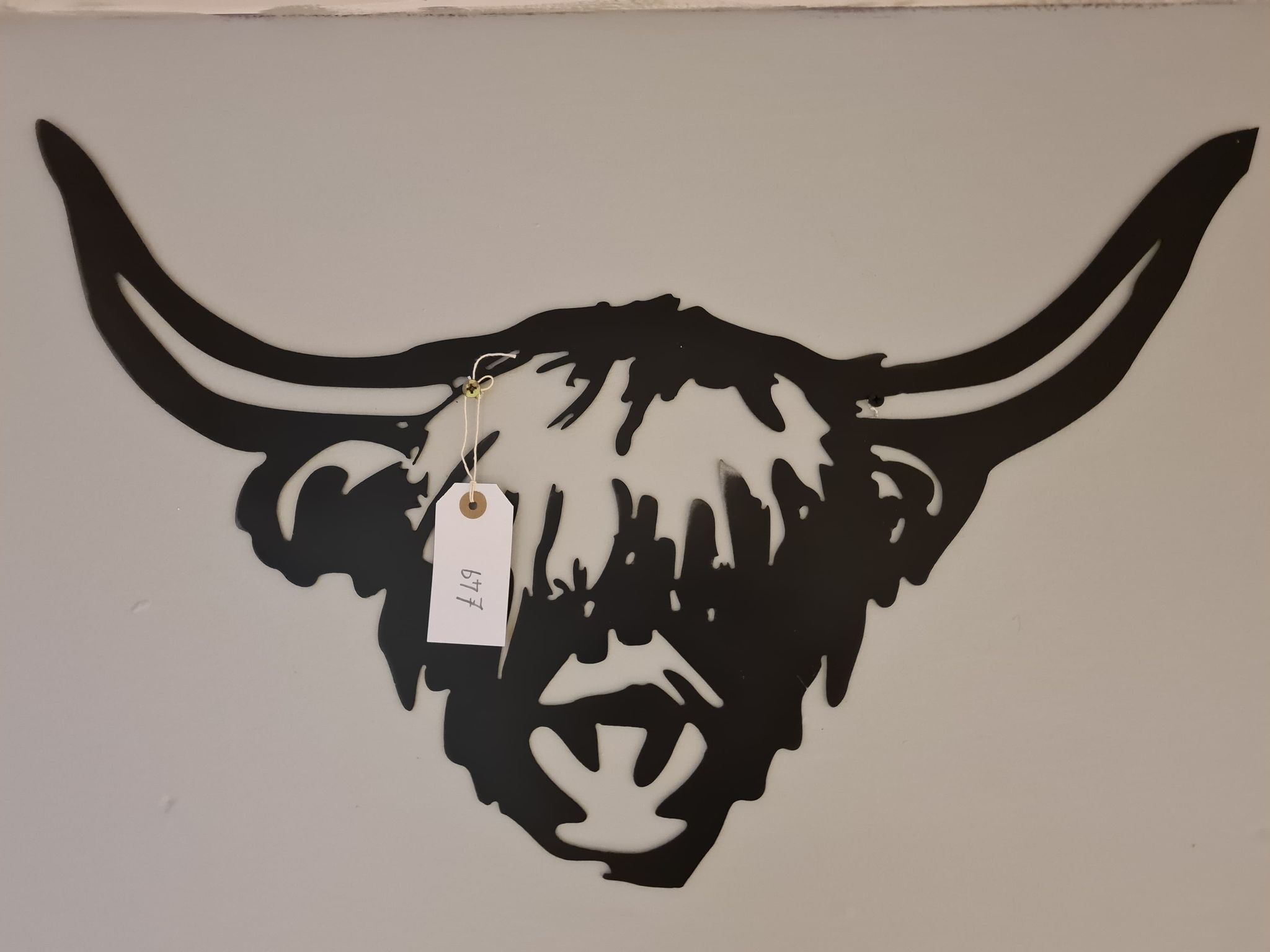 Highland Cow Head